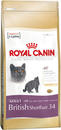 British shorthair 10kg pašaras britų trumpaplaukėms katėms